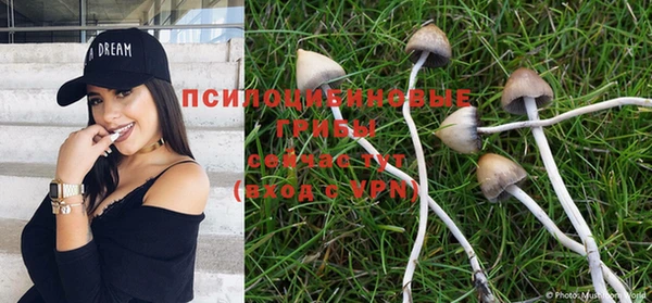 прущая мука Балахна