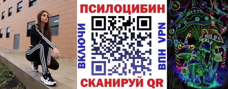 Псилоцибиновые грибы Psilocybe  наркота  Тосно 